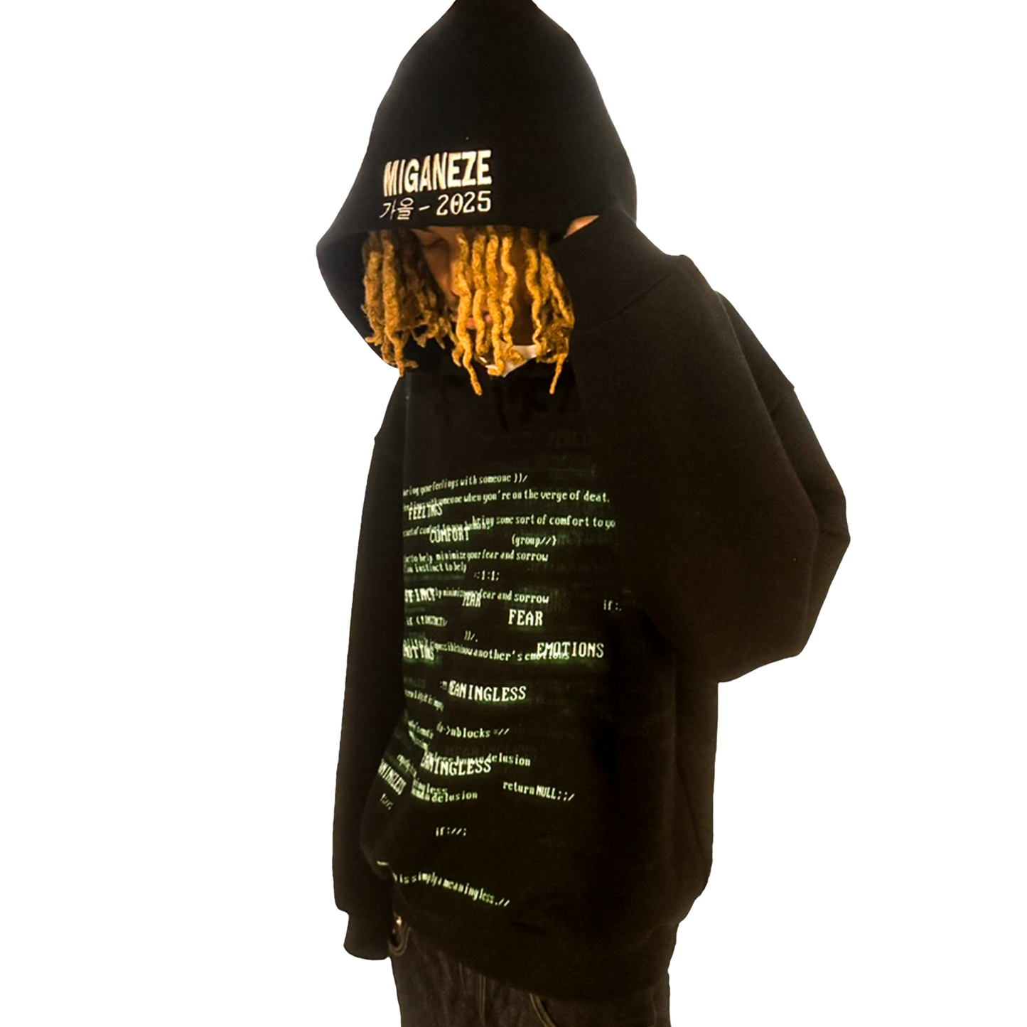 Matrix Hoodie